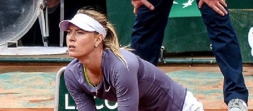 Maria Sharapova (Credit: Yann Caradec - wikimedia.org)
