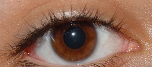 Pessoas com olhos castanhos s&atilde;o especiais.