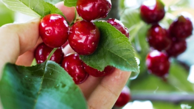 Primavera: ortaggi e frutta di stagione