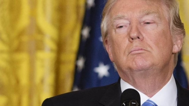Trump limita i diritti dei transgender scatenando l'ira dei vip