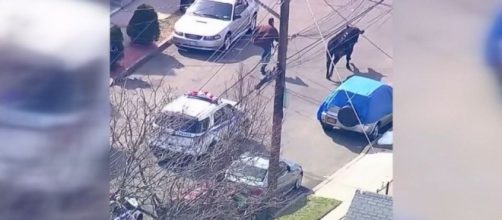 WATCH: Bull hoofs it through Queens, New York &ndash; Cherokee Messenger ... - cherokeemessengerrepublican.com