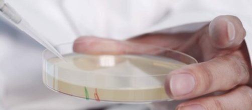 La utilizaci&oacute;n de antibi&oacute;ticos ha aumentado un 40% en tan s&oacute;lo 10 a&ntilde;os