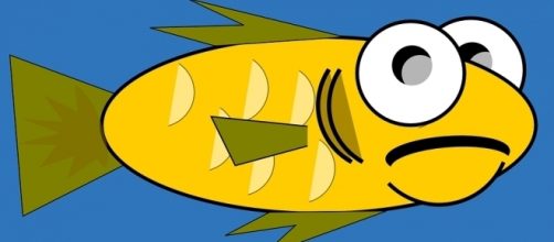 Quem &eacute; dono do peixe? Resolva enigma de Albert Einstein