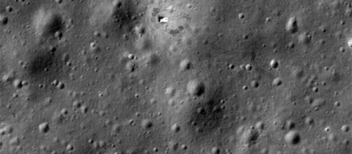 Planet Aardvark - saintaardvarkthecarpeted.com