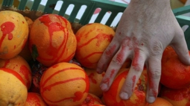 Caporalato, morire per 27 euro al giorno. La tragica storia di Paola