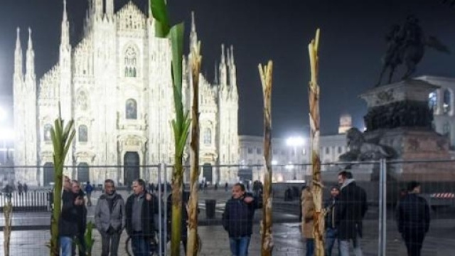 I banani in piazza Duomo. Foto da Twitter