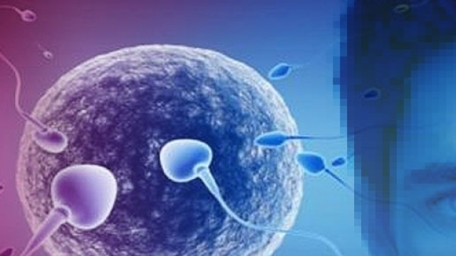 Inquinamento ambientale: incidenza negativa sullo sviluppo ormonale dell'uomo