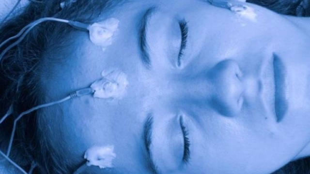 L'ibernazione potrebbe aiutare a sconfiggere i tumori.