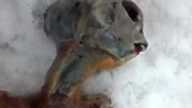 Real Life X-File Debunked: Frozen Alien in Russia Made of Chicken ... - wonderhowto.com