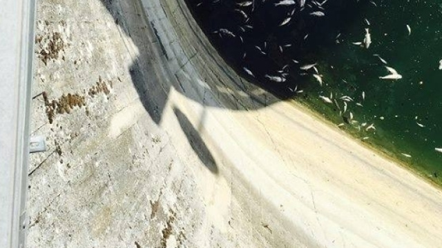 Tracce di idrocarburi nella diga del Pertusillo