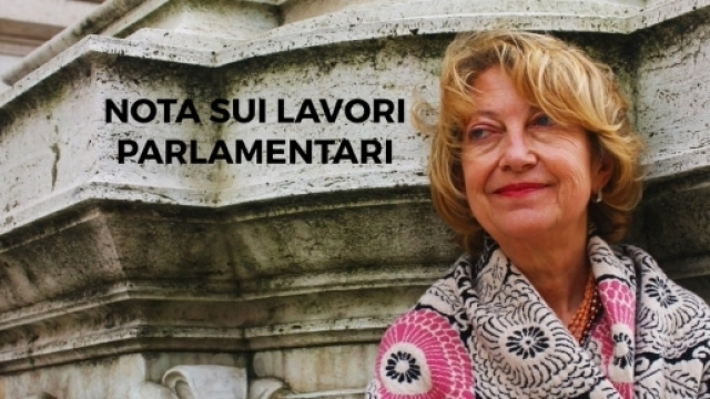 Un'immagine dell'On. Titti Di Salvo