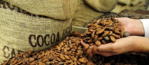 Hot Chocolate: Somebody Just Bet $1 Billion On Cocoa : Planet - npr.org