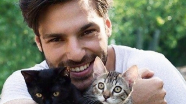 Ecco i sei motivi per guardare Love of my life.