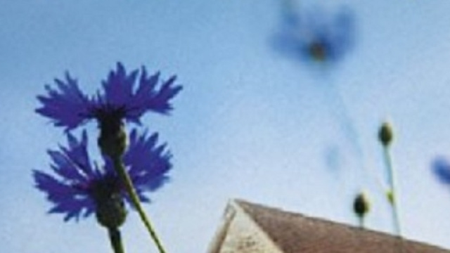 Marie des Brebis - Christian Signol