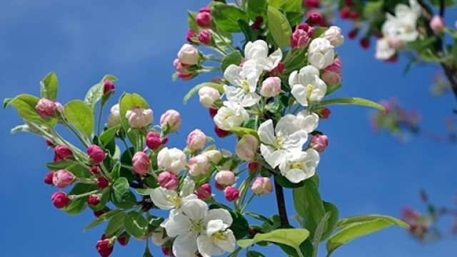 Previsioni del tempo per la primavera