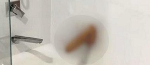 Encanador acabou perdendo emprego ao expor consolo do cliente na web