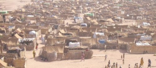 Refugee - Wikipedia - wikipedia.org