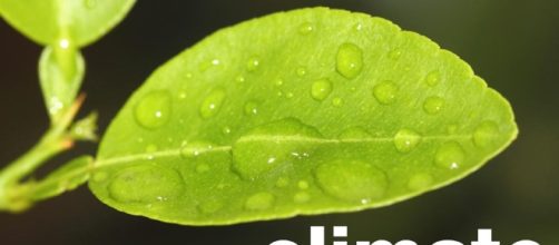 Scientists urge Trump to support Paris climate accord | Agweek - agweek.com