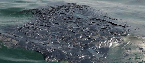 Ennore Port oil spill blackens Chennai's shoreline- The New Indian ... - newindianexpress.com