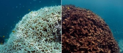 Media Tweets by Bloomberg.org (@BloombergDotOrg) | Twitter - twitter.com