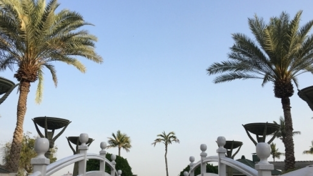 Bit 2017: Igersitalia e il Turismo @annibelleph