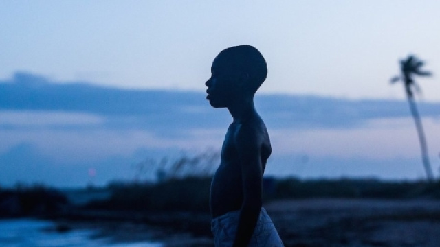 Moonlight Movie Review & Film Summary (2016) | Roger Ebert - rogerebert.com
