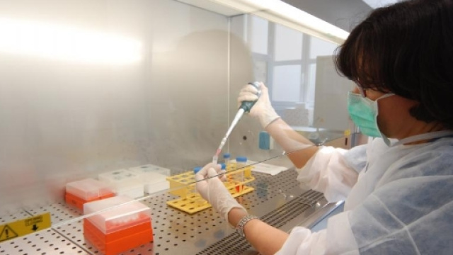 Rigenerazione cellulare e cura della sordit&agrave;