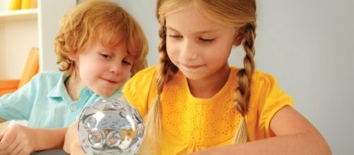 Brine shrimp--also called 'Aqua Dragons'--are easy pets to take care of. / Photo via Amy Holden, World Alive. Used with permission.