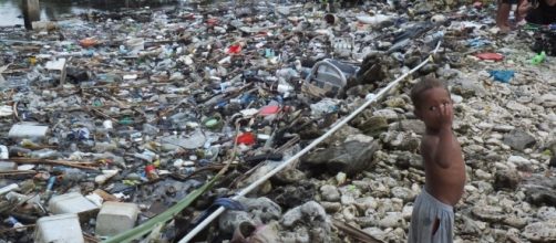 Can our oceans be saved from environmental ruin? - CNN.com - cnn.com