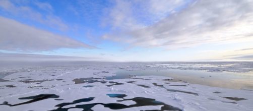 IndyWatch Feed Nthamerica - indywatch.org