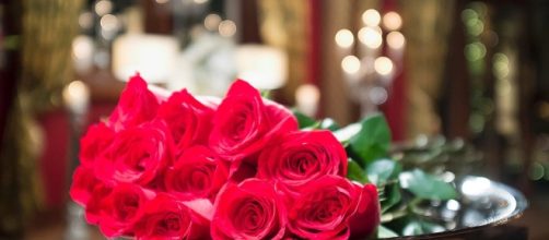 Sorority Recruitment, As Told By 'The Bachelor' - theodysseyonline.com