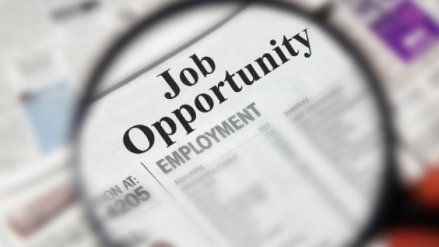 Anpal seleziona 1000 tutor e insegnanti