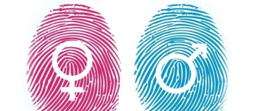 Feminismo radical e ideolog&iacute;a de g&eacute;nero - International Youth ... - iycoalition.org