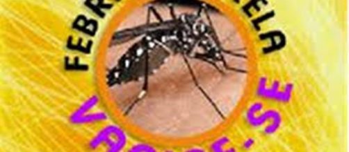 Saiba quem deve se vacinar contra a Febre Amarela