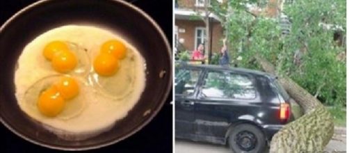 Tr&ecirc;s ovos com duas gemas cada um