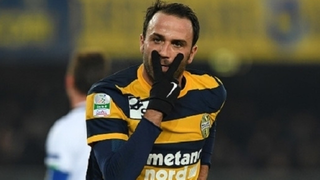 Pazzini, protagonista atteso di Verona-Benevento