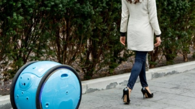 Piaggio Gita: il robot portaborse - dezeen.com