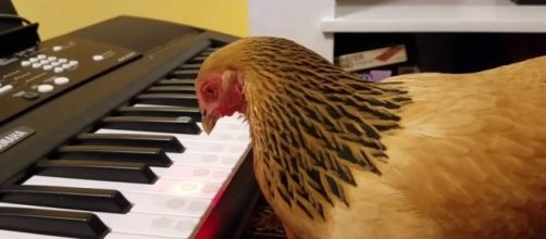 Image screen capture from the Two Creative Chicks YouTube video