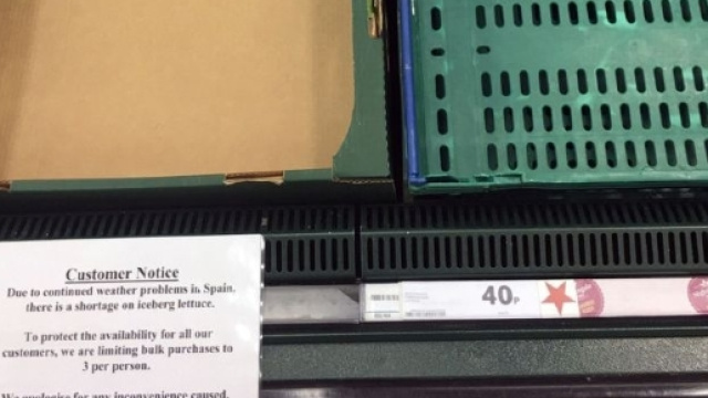 Gli scaffali degli ortaggi nei supermercati inglesi sono vuoti a causa della 'crisi delle verdure'