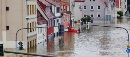 Flololding, courtesy LucyKaef, pixabay.com, creative commons