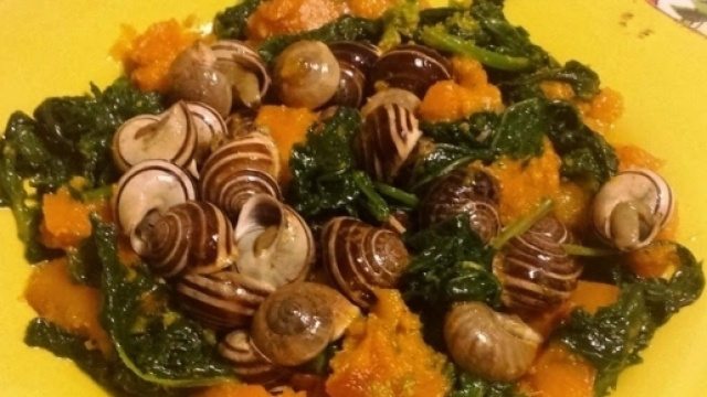 Escargot, Palermo ha il primato sulla propduzione