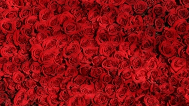 San Valentino 2017, gli eventi a Roma