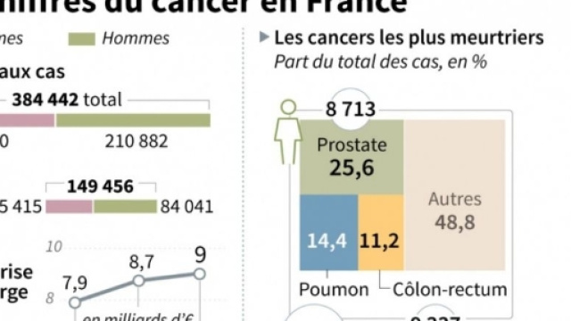 Cancers : en France, la lutte contre la maladie porte ses fruits ... - sciencesetavenir.fr