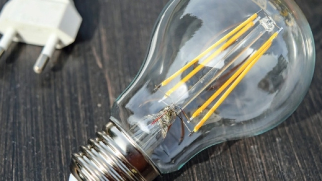 Bonus luce per famiglie in difficolt&agrave;: cos'&egrave;? - Formiche.net - daomag.it