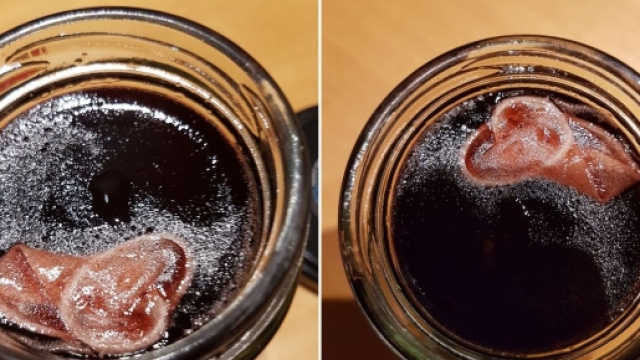 Cos'&egrave; quell'oggetto dentro il vasetto di marmellata?