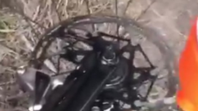 L'esperimento di Reinier Honig