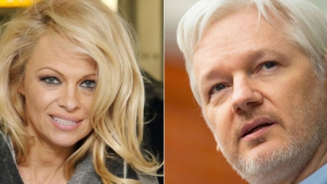 Quiz: Can you name these unlikely friends? - BBC News - bbc.com