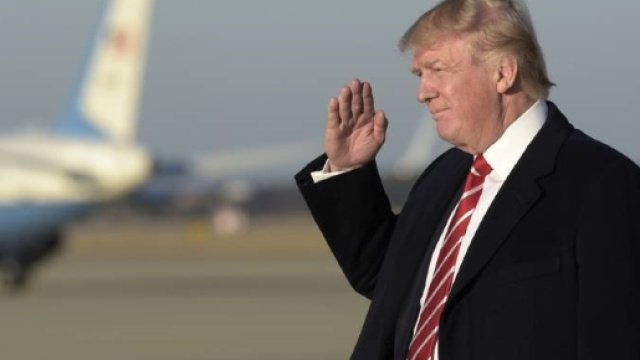 Muslim Ban: decreto bocciato dalla Corte d'Appello - Foto: Ansa