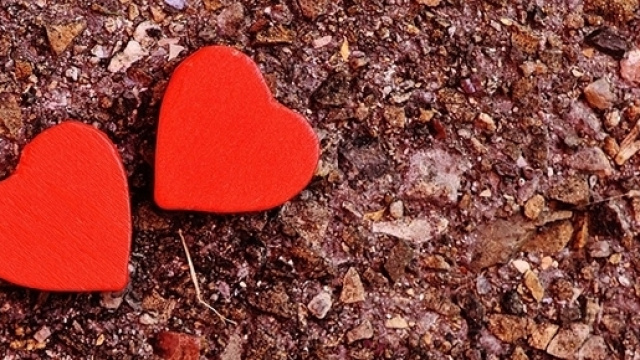 Tim, Vodafone, Wind e Tre, offerte per San Valentino