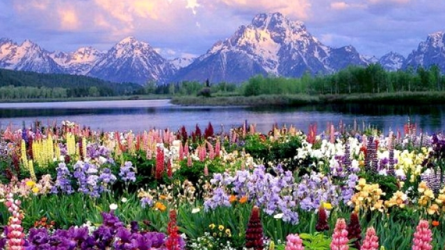 Meteo, primo assaggio della bella stagione